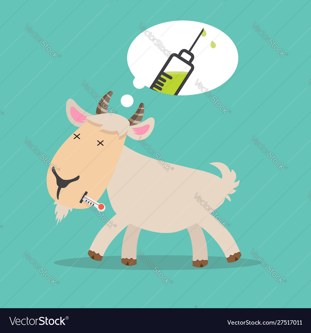 Sick goat swine flu a vaccination Royalty Free Vector Image