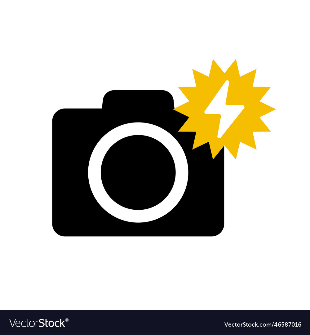 Camera with Flash Icon