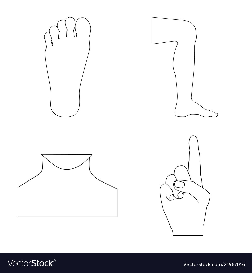Isolated object of human and part icon collection vector image Isolated object of human and part icon collection