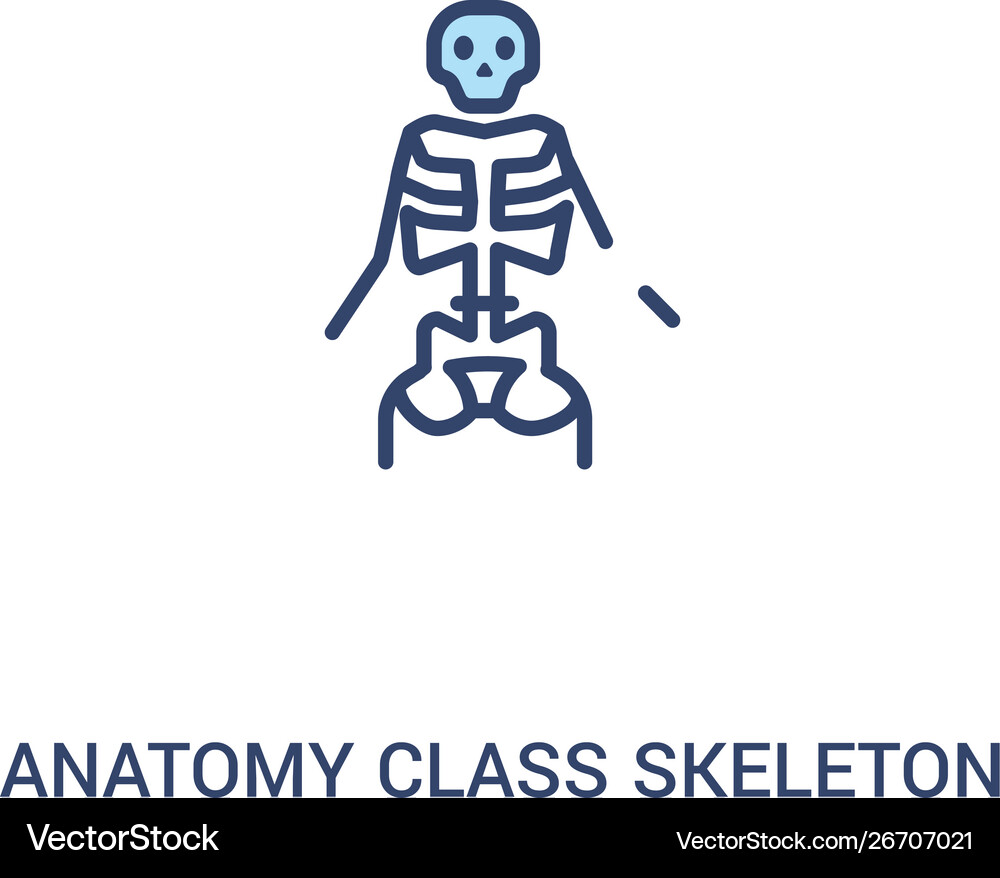 Anatomy class skeleton concept 2 colored icon Vector Image