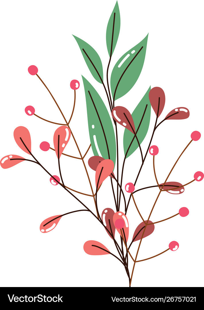 Isolated leaves design Royalty Free Vector Image