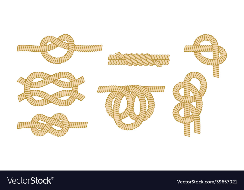 Set of nautical ropes with different knot types Vector Image Set of nautical ropes with different knot types