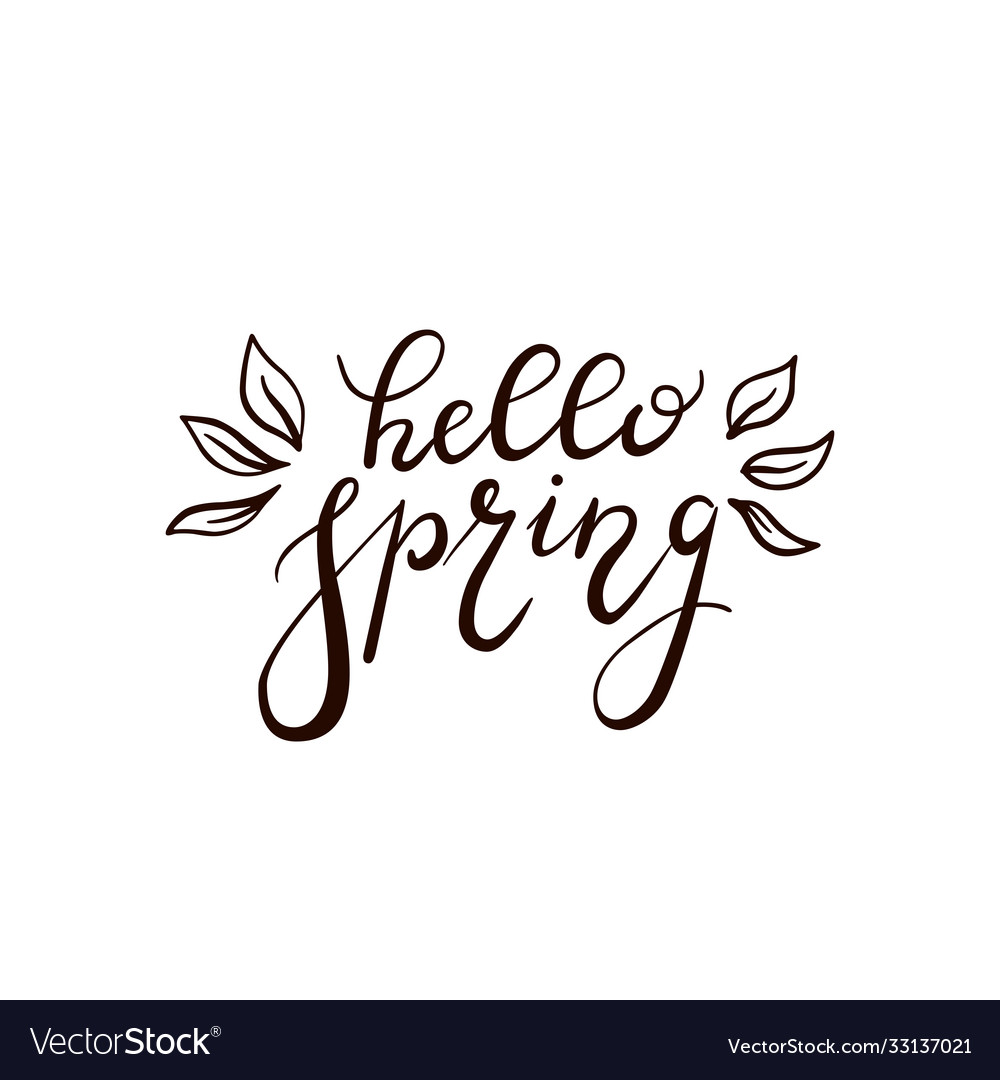 Text hello spring with leaves Royalty Free Vector Image