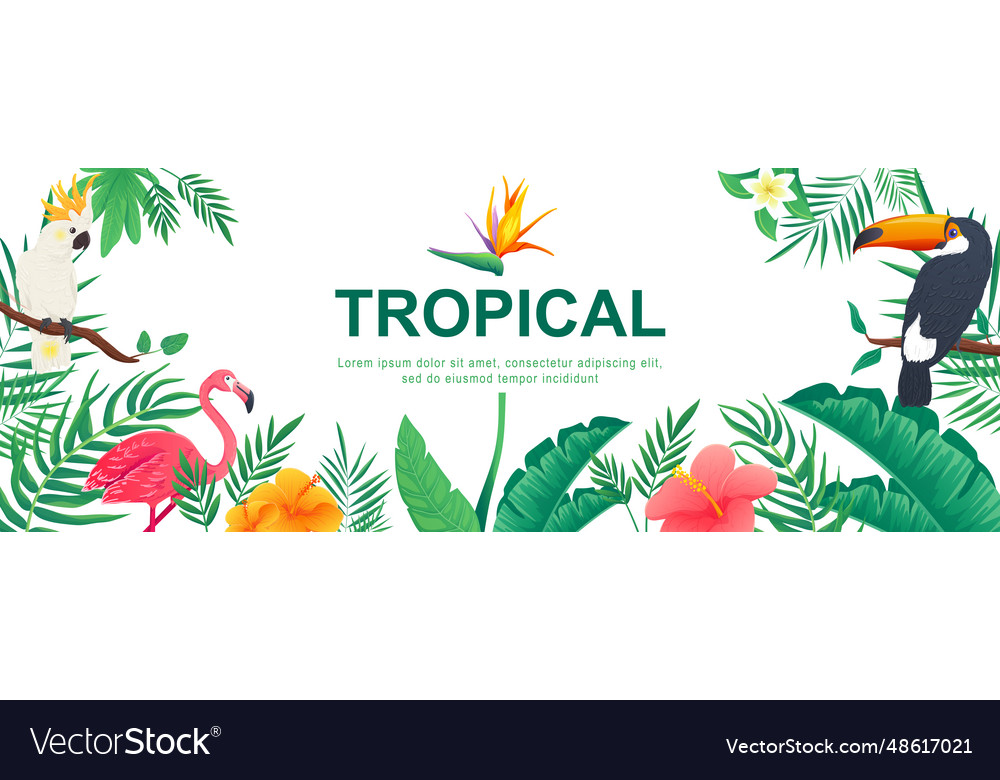 Tropical horizontal web banner jungle plants