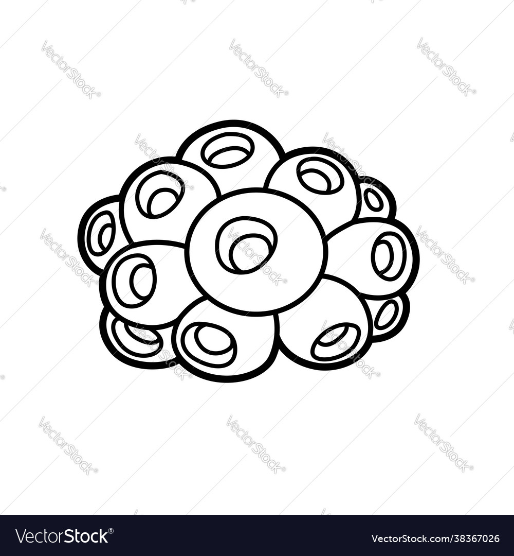 Sea round sponge object coloring book linear Vector Image Sea round sponge object coloring book linear