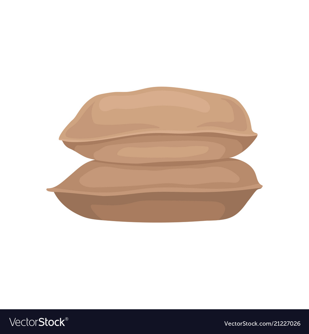 Two Textile Brown Bags Large Burlap Sacks With Vector Image