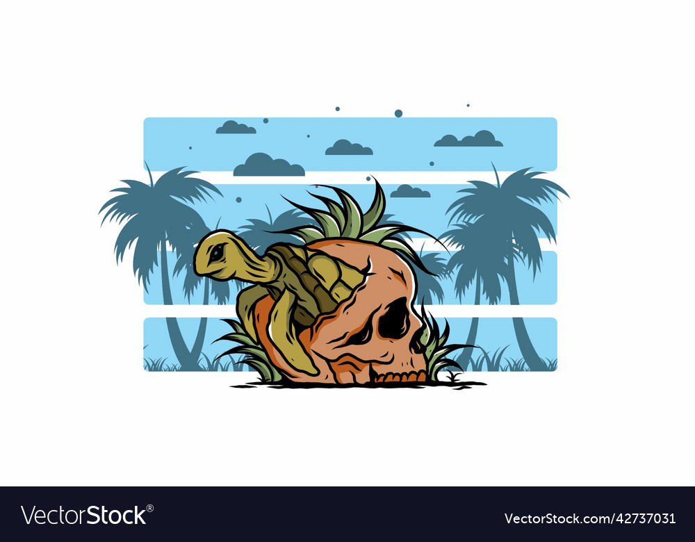 Sea turtle in the skull