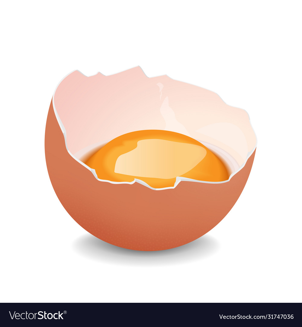 Broken egg with yolk