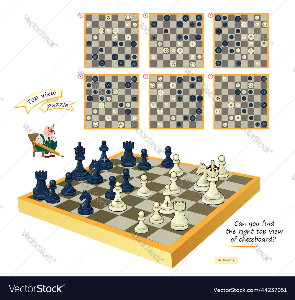 3D Chessboard Puzzle - Find the View