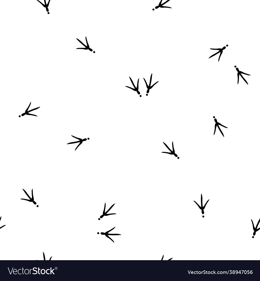 Seamless abstract pattern with bird trail vector image Seamless abstract pattern with bird trail