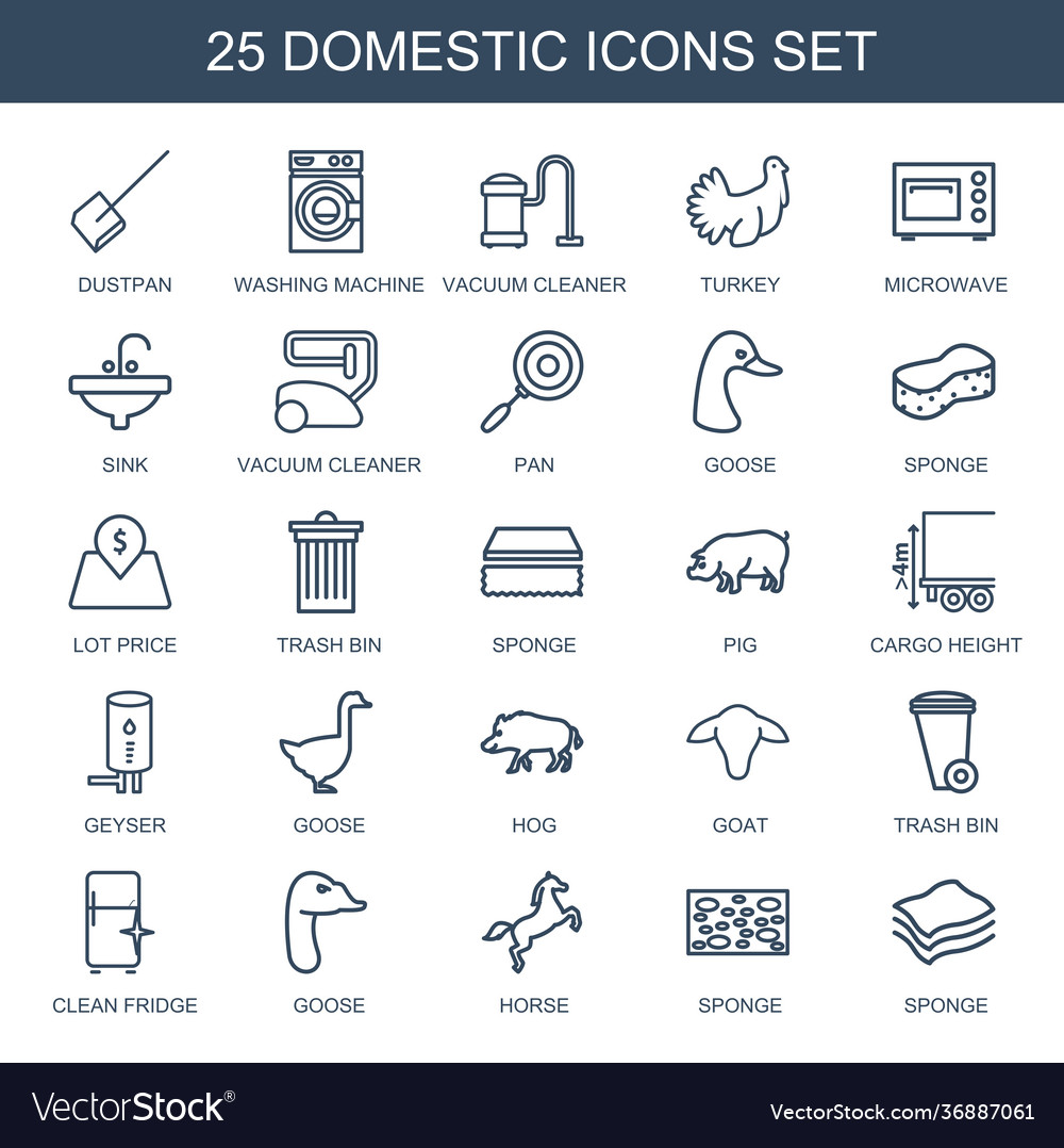 25 domestic icons