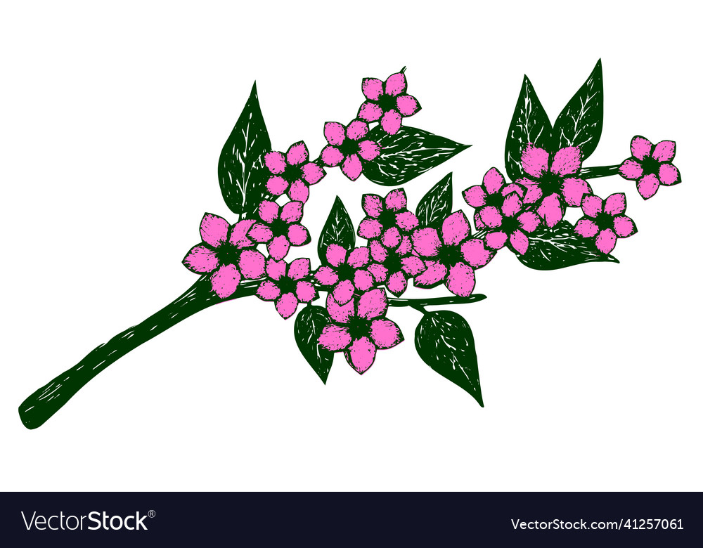 Bouquet of pink flowers on branch drawn