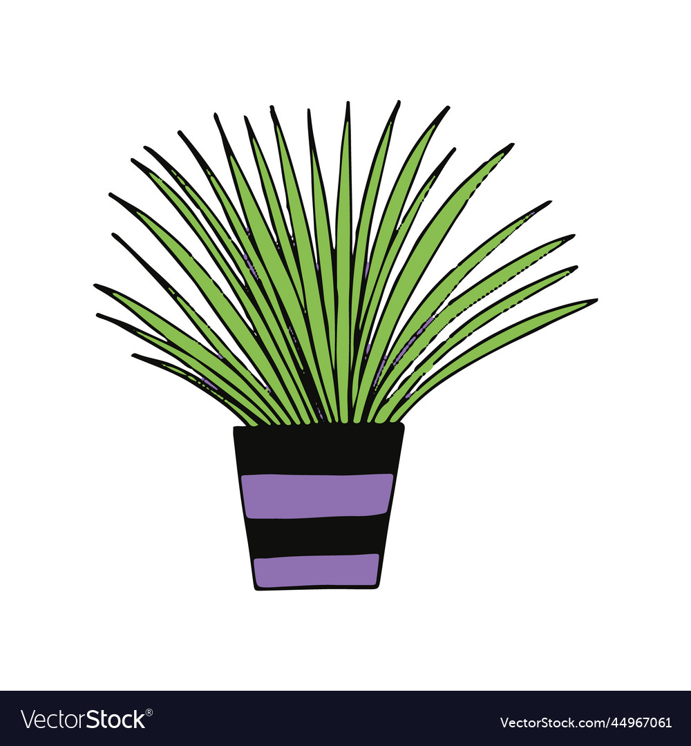 Chlorophytum in a pot icon hand drawn