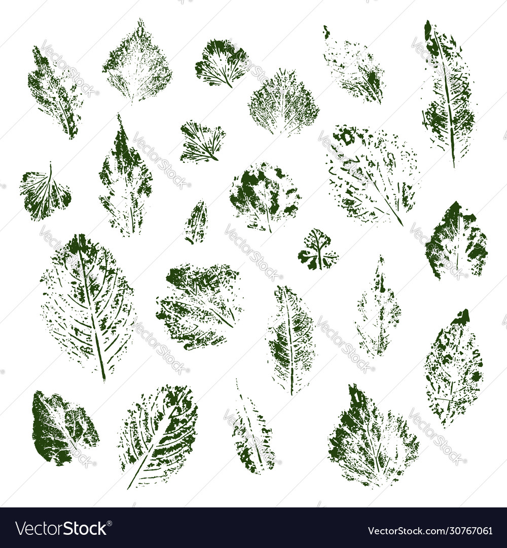Collection ink printing leaves isolates Royalty Free Vector