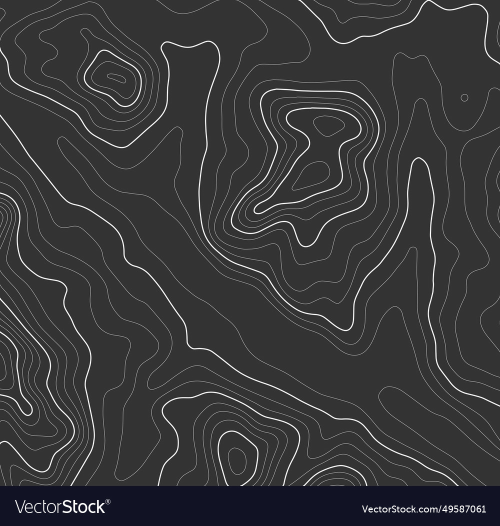 Grey contours topography mountain terrain Vector Image