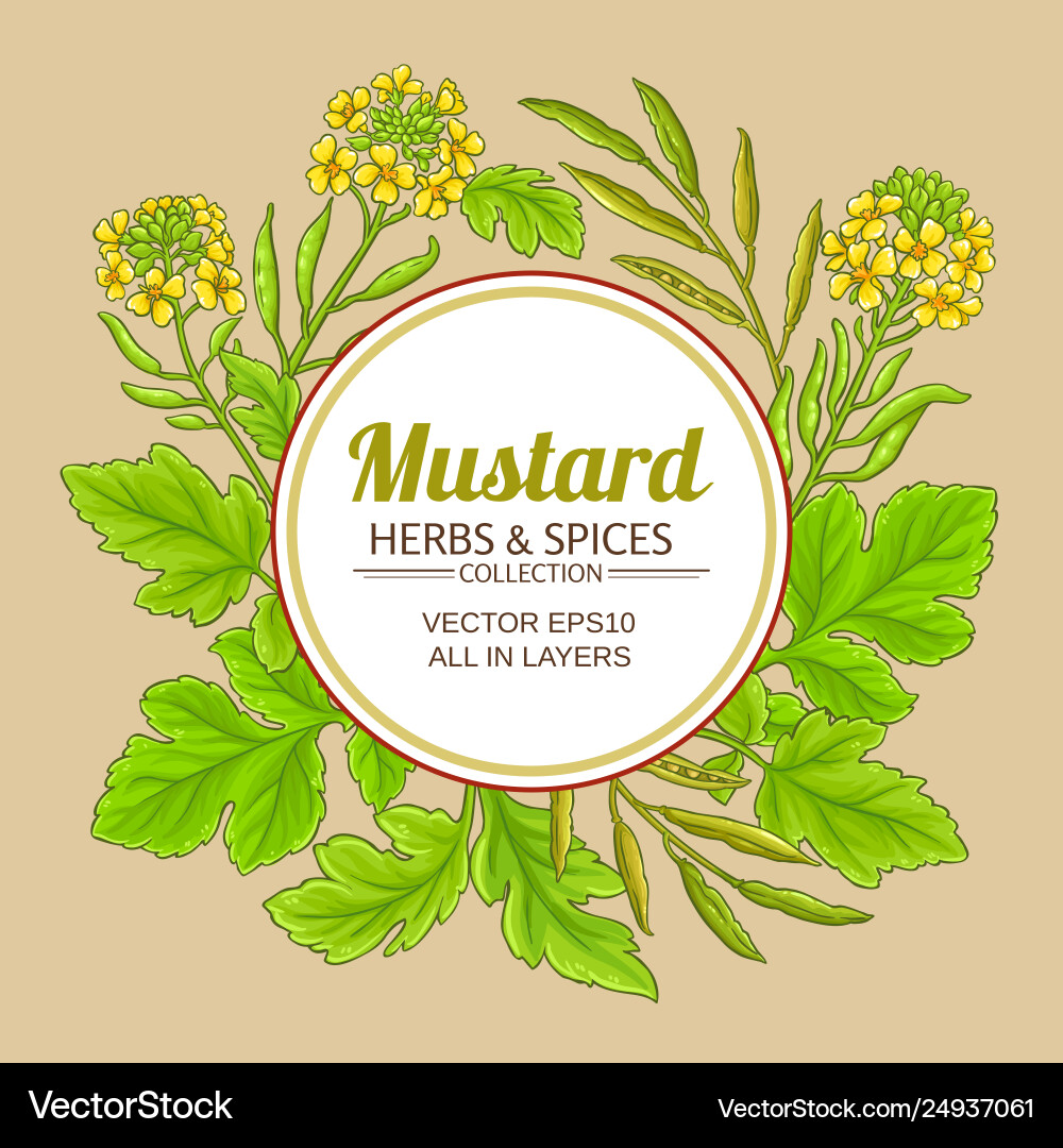 Mustard plant frame on color background Royalty Free Vector