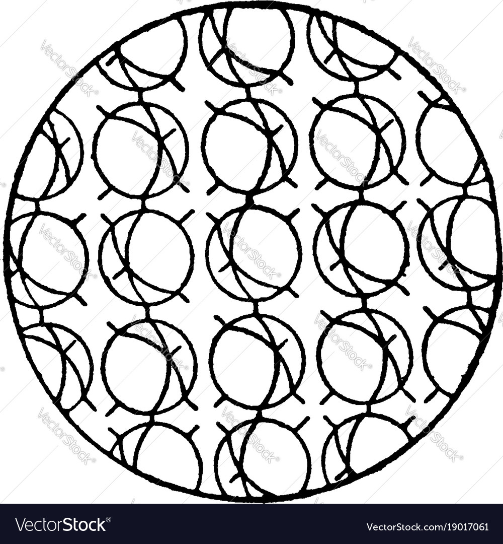 Partial orientation of molecules in a solid