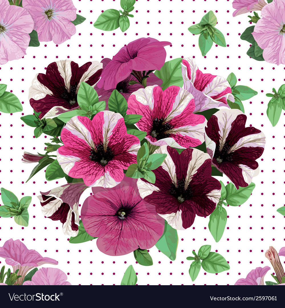 Seamless pattern bouquet of petunias