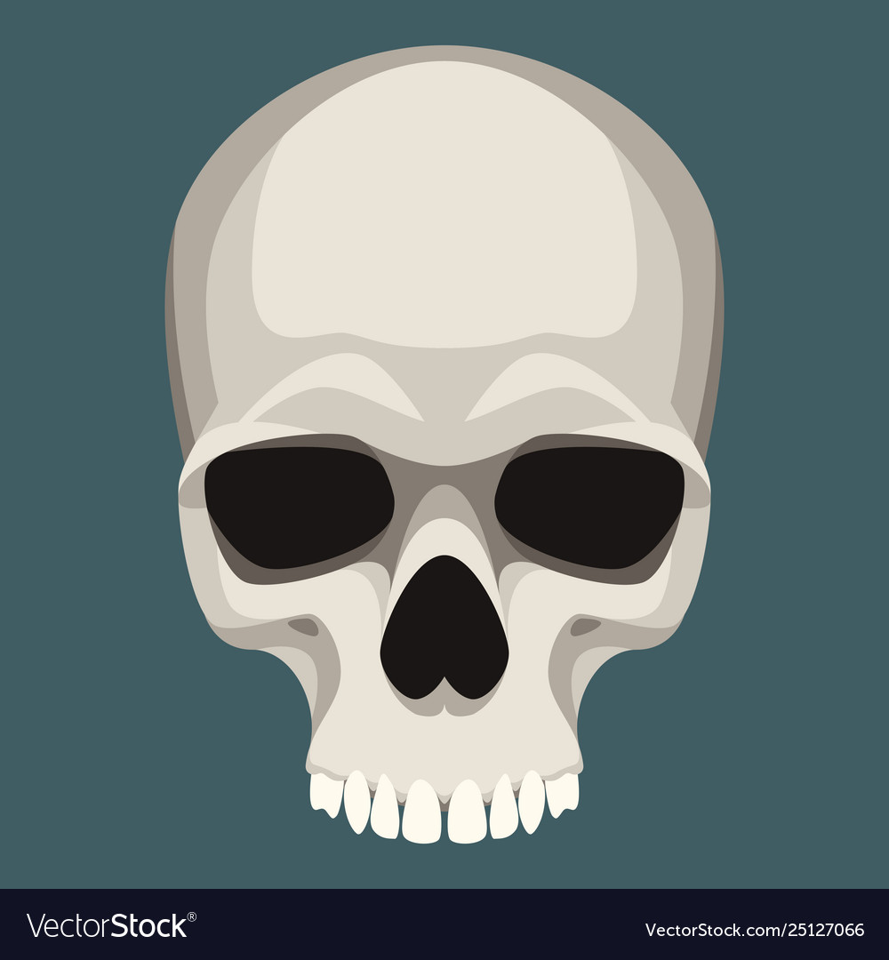 вырезать череп из дерева. череп stl. плоским череп. плоским череп. древние амфибии.