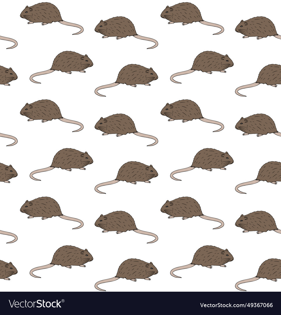 Seamless pattern of hand drawn nutria