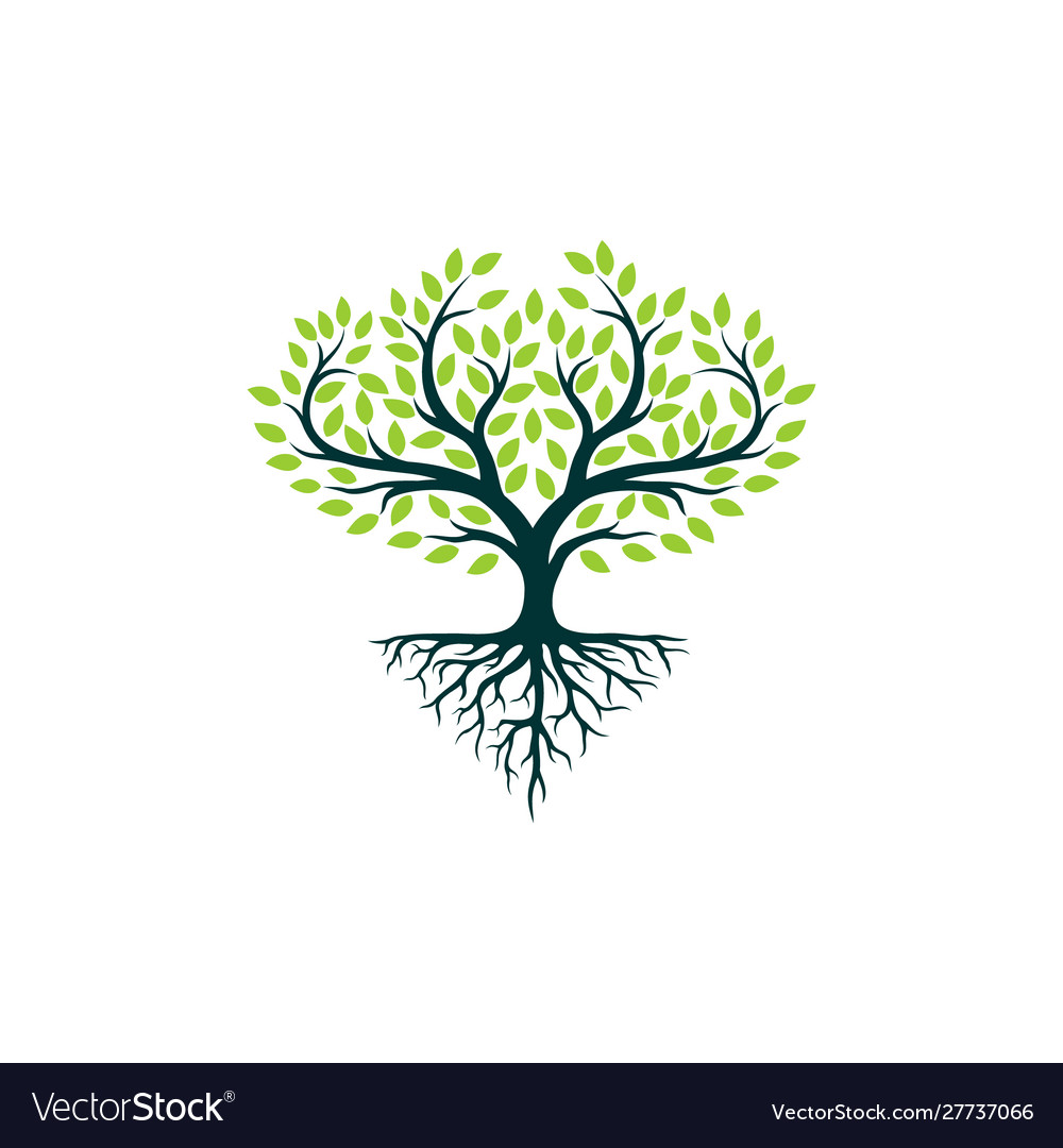 Tree-logo Royalty Free Vector Image - VectorStock