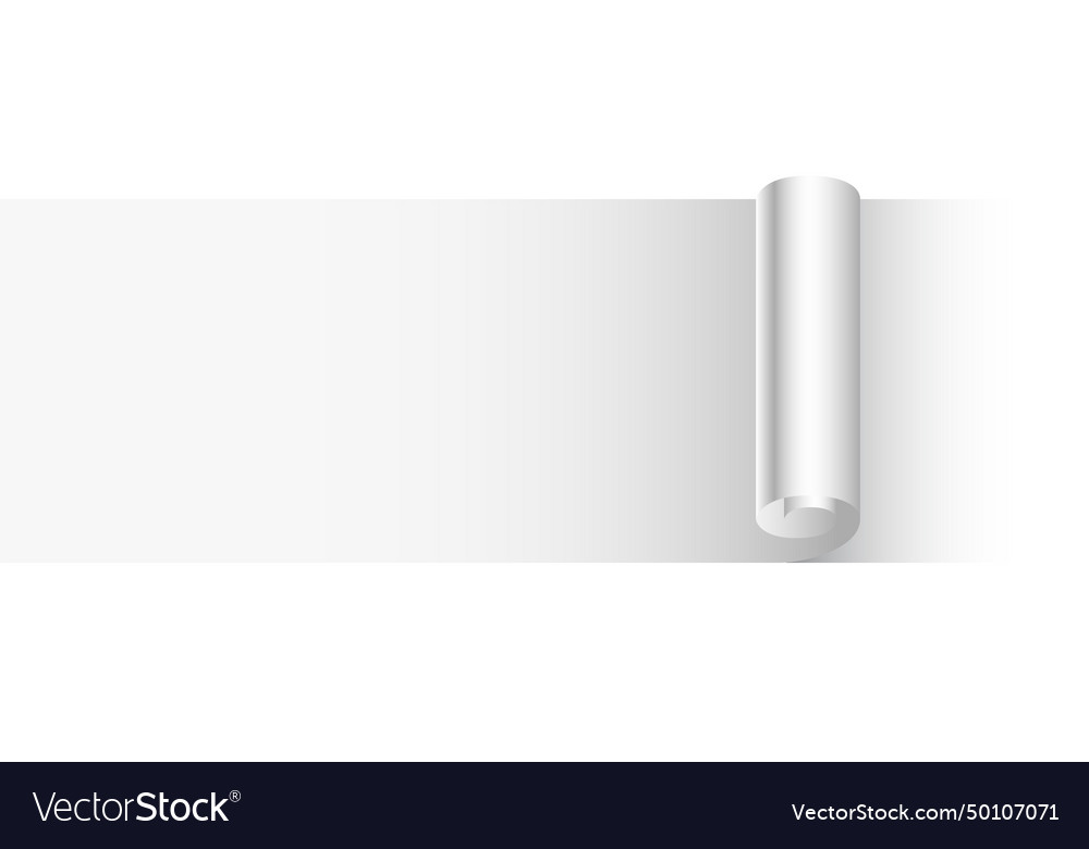 3d style empty paper rolled sheet template design