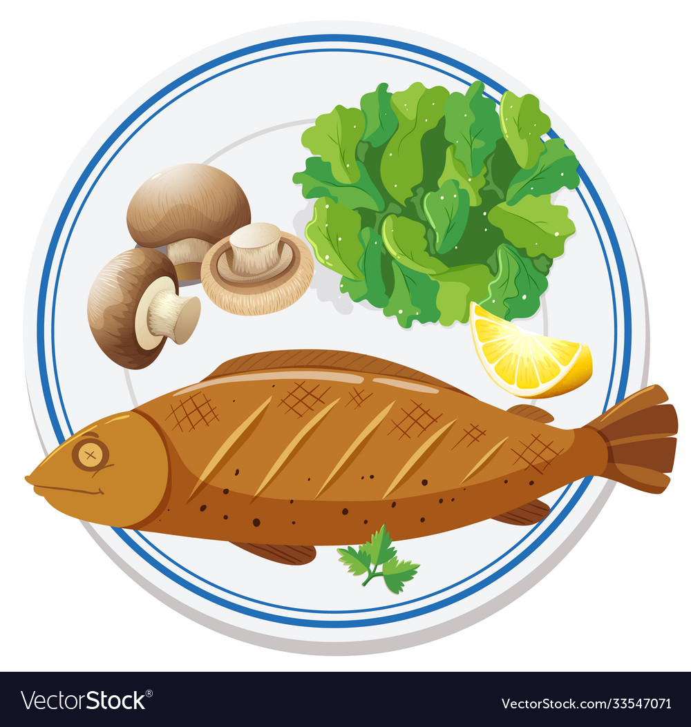Aerial View Food On Plate Royalty Free Vector Image aerial-view-food-on-plate-royalty-free-vector-image