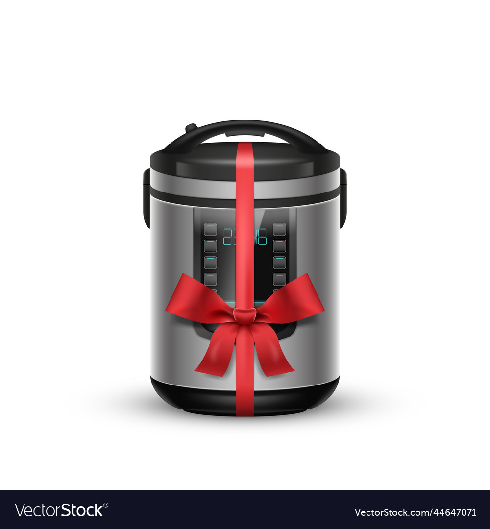 Automatic Multi Cooker And Pressure Cooker Vector Image