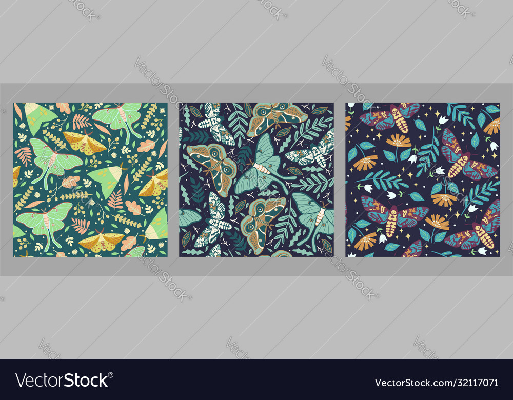 Moth Seamless Patterns