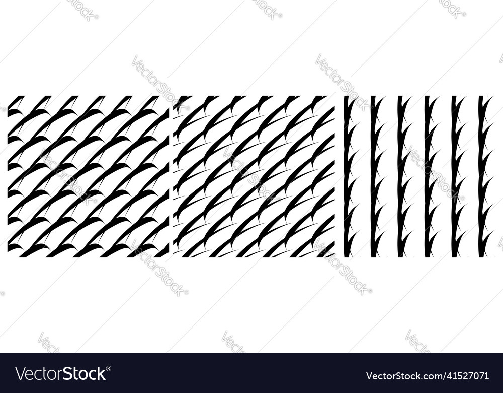 Set of 3 seamless pattern texture Vector Image Set of 3 seamless pattern texture