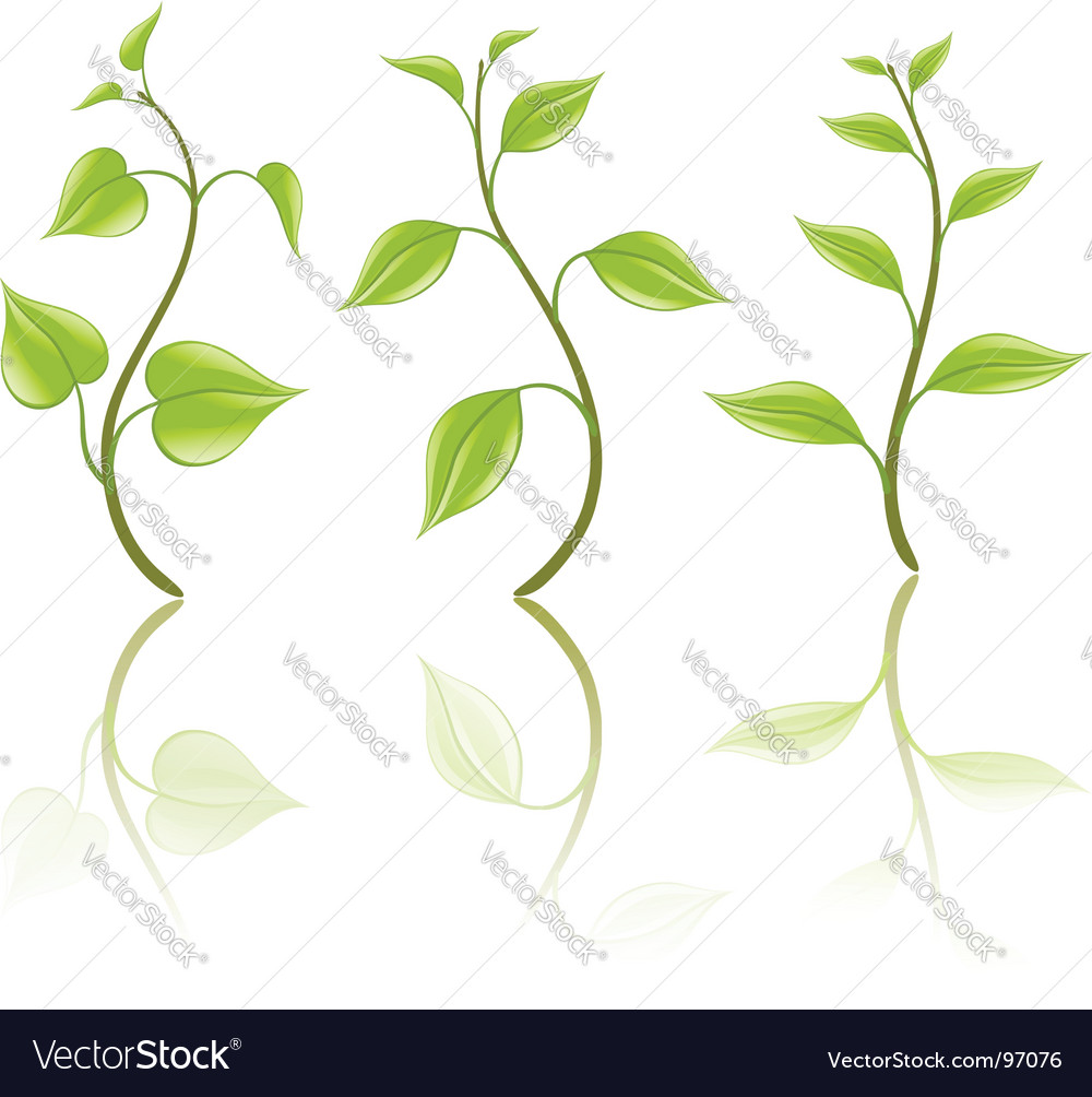 Branch and Leaf Elements
