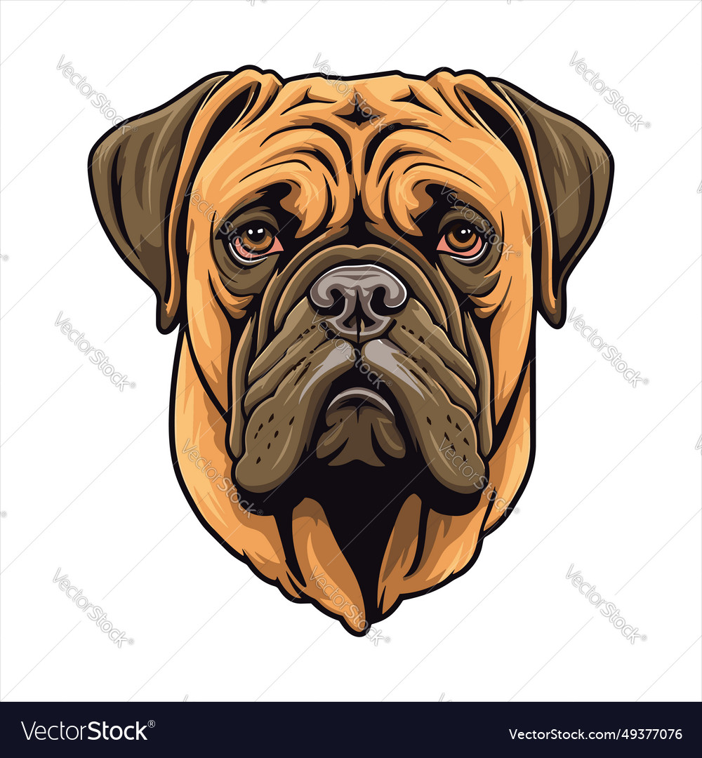 Cute bullmastiff best sale