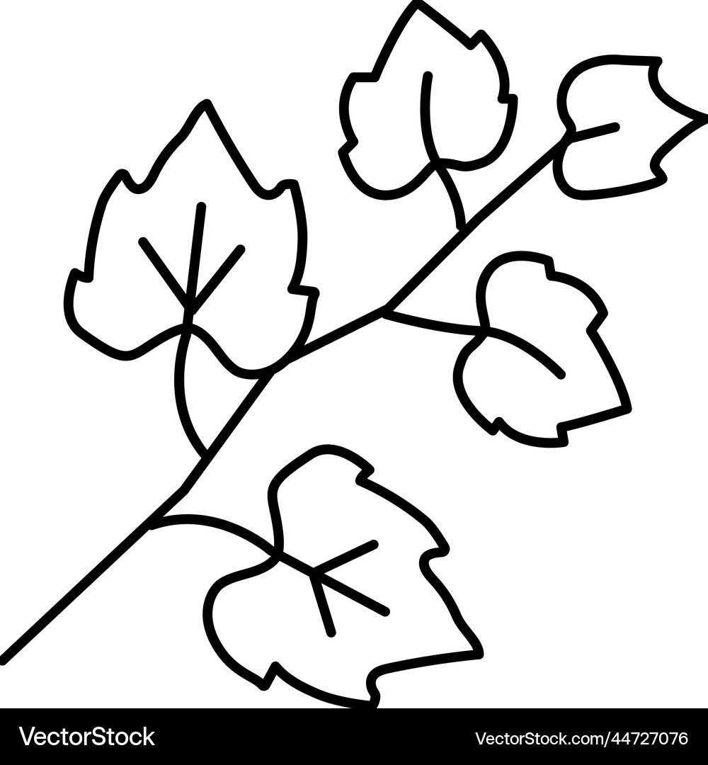 Leaf grape line icon Royalty Free Vector Image
