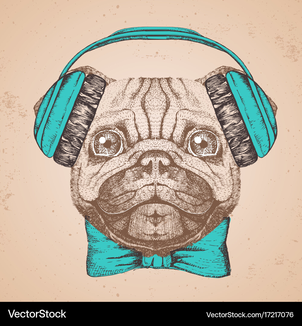 pug with muzzle