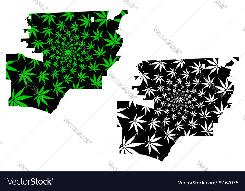 Toledo city - map is designed cannabis leaf