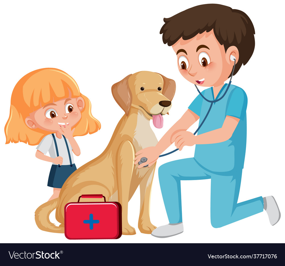 Veterinary doctor and dog on white background Vector Image