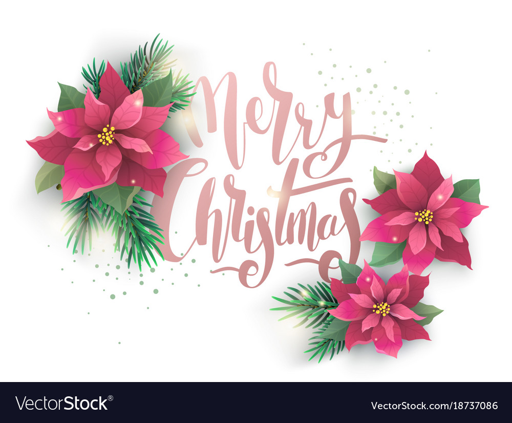 christmas poinsettia design card royalty free vector image poinsetta design