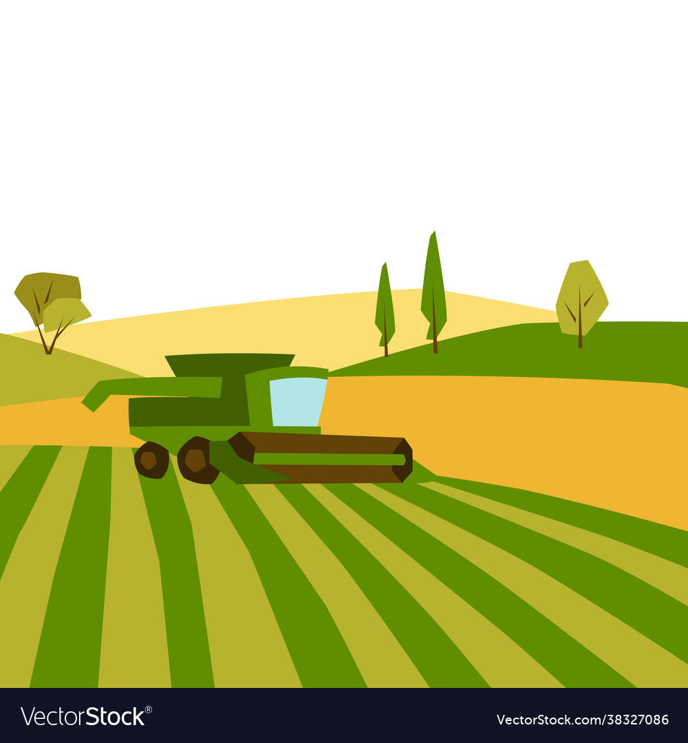 Combine harvester on wheat field agricultural