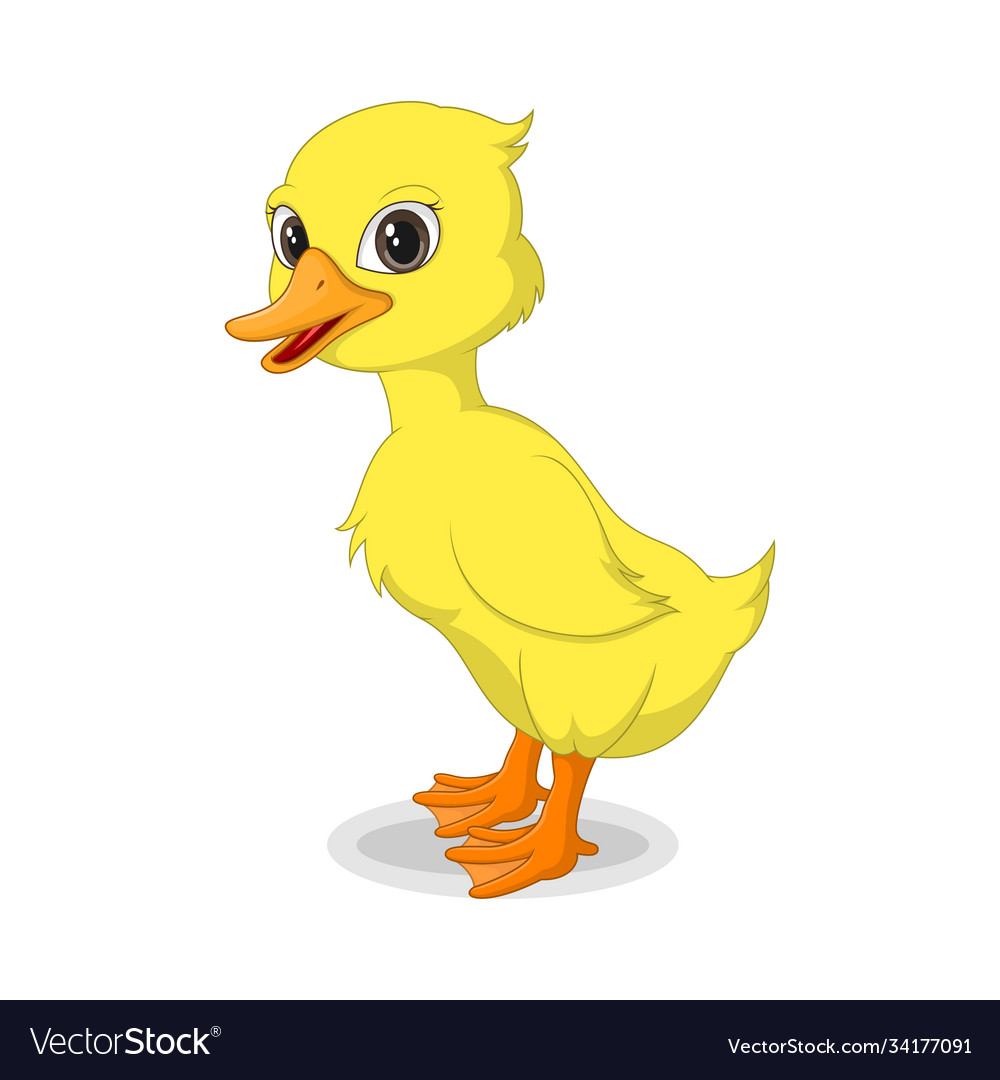 Cute baby duckling isolated on white background Vector Image