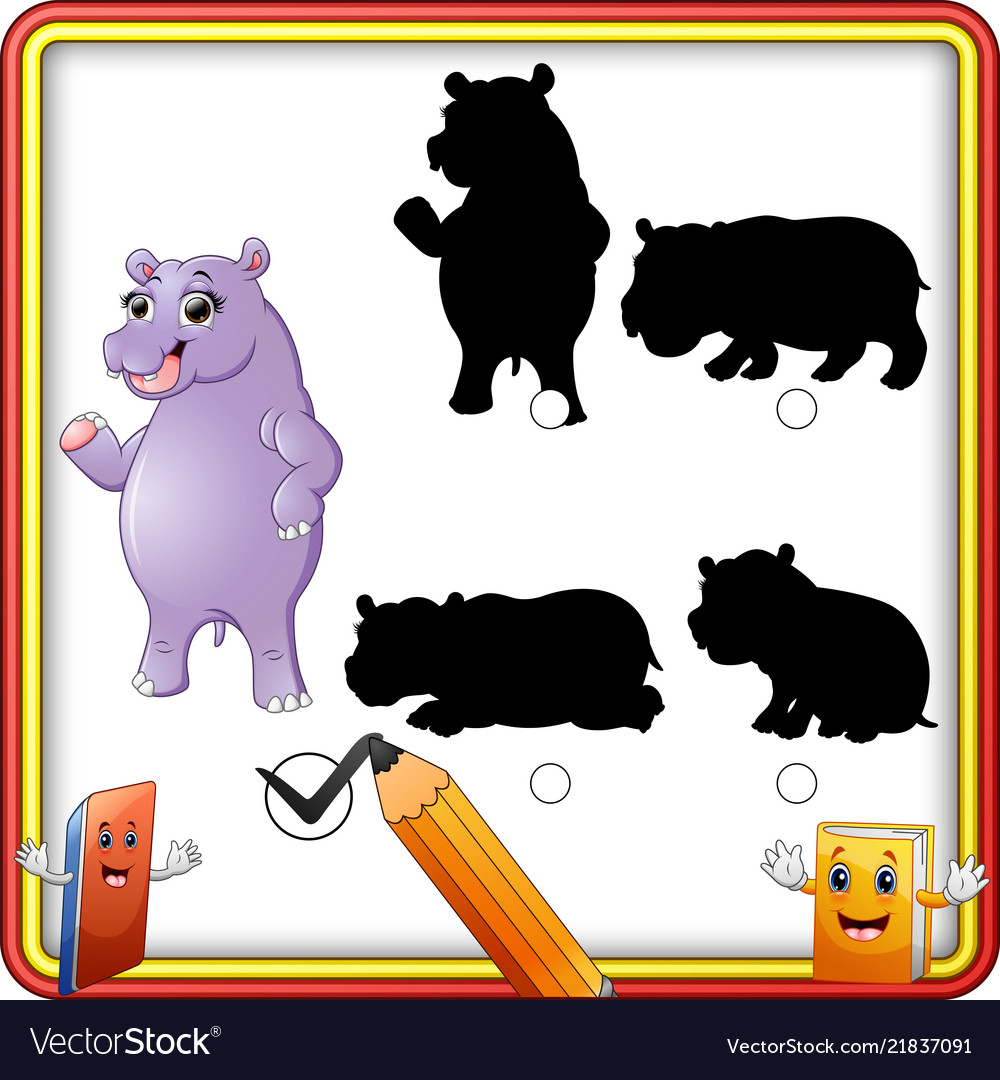 Find correct shadow cartoon funny hippo stand Vector Image