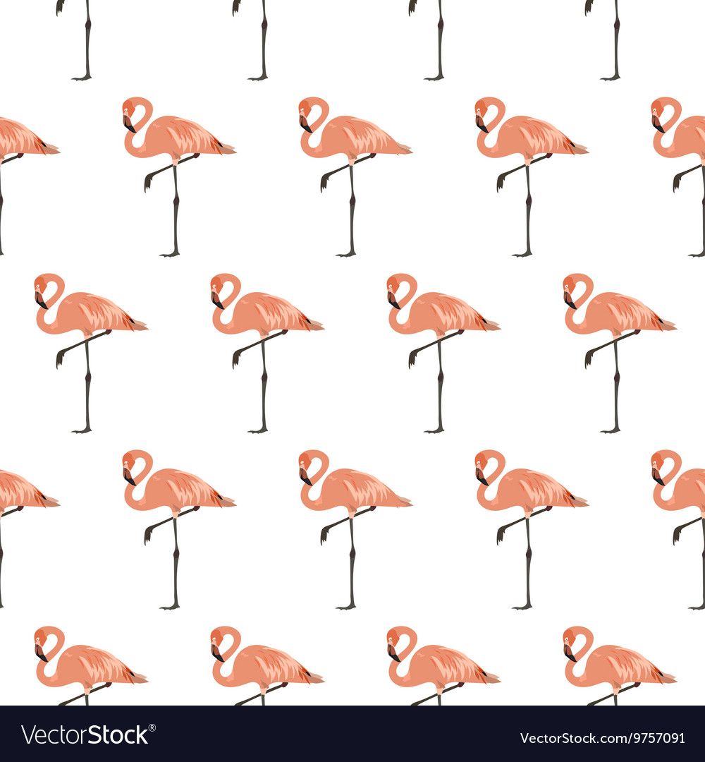 Flamingo bird seamless pattern background