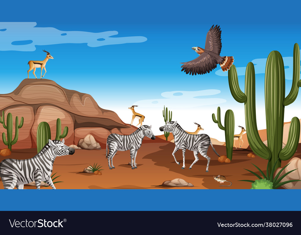 Desert forest landscape at daytime scene