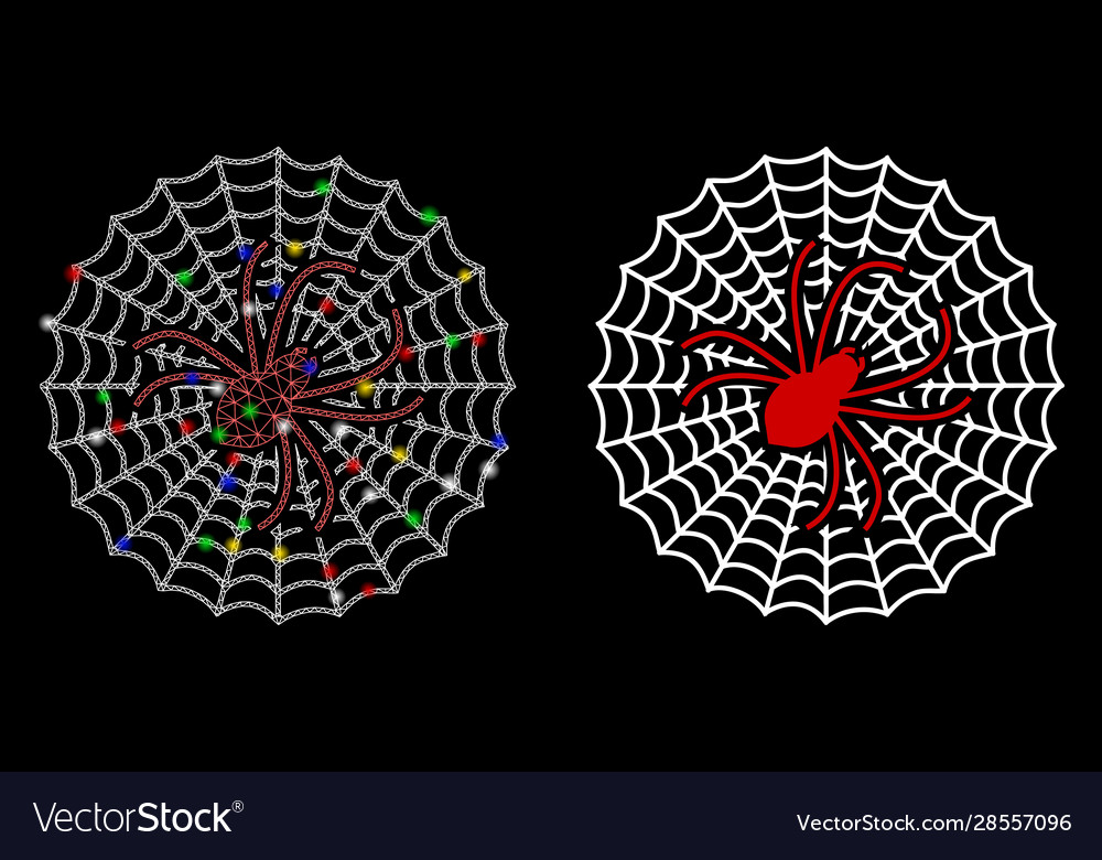 Flare mesh network spider net icon with vector image Flare mesh network spider net icon with