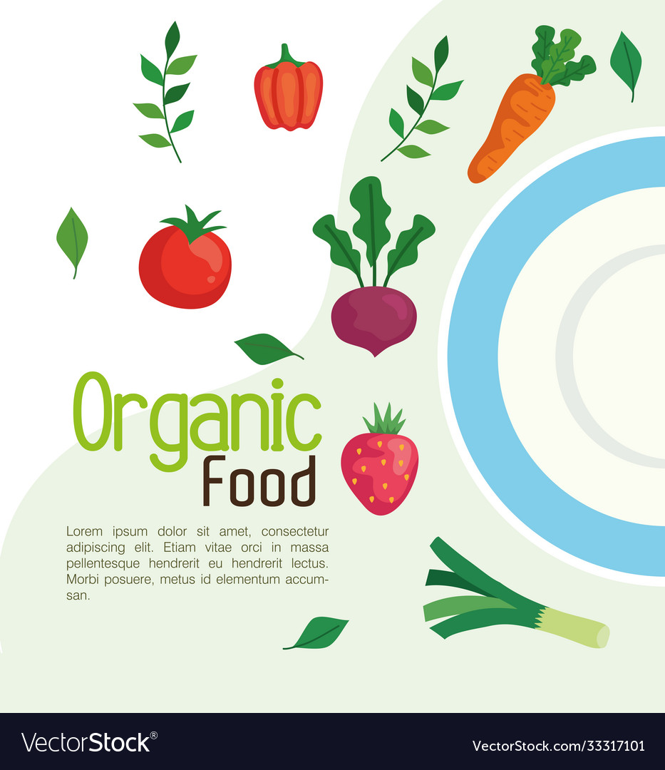 Banner with organic food fruits and vegetables Vector Image