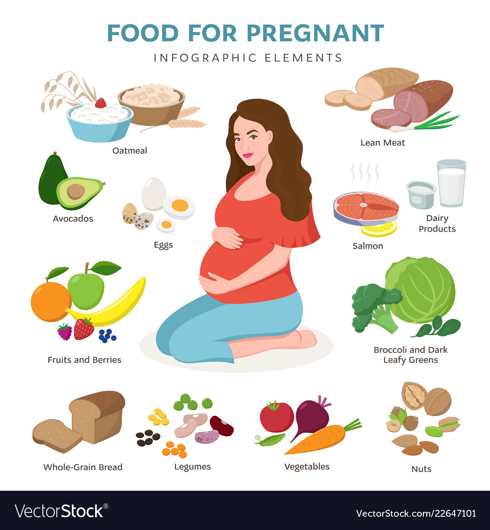 Healthy Food For Pregnant Flat Icons Royalty Free Vector   Healthy Food For Pregnant Flat Icons Vector 22647101 