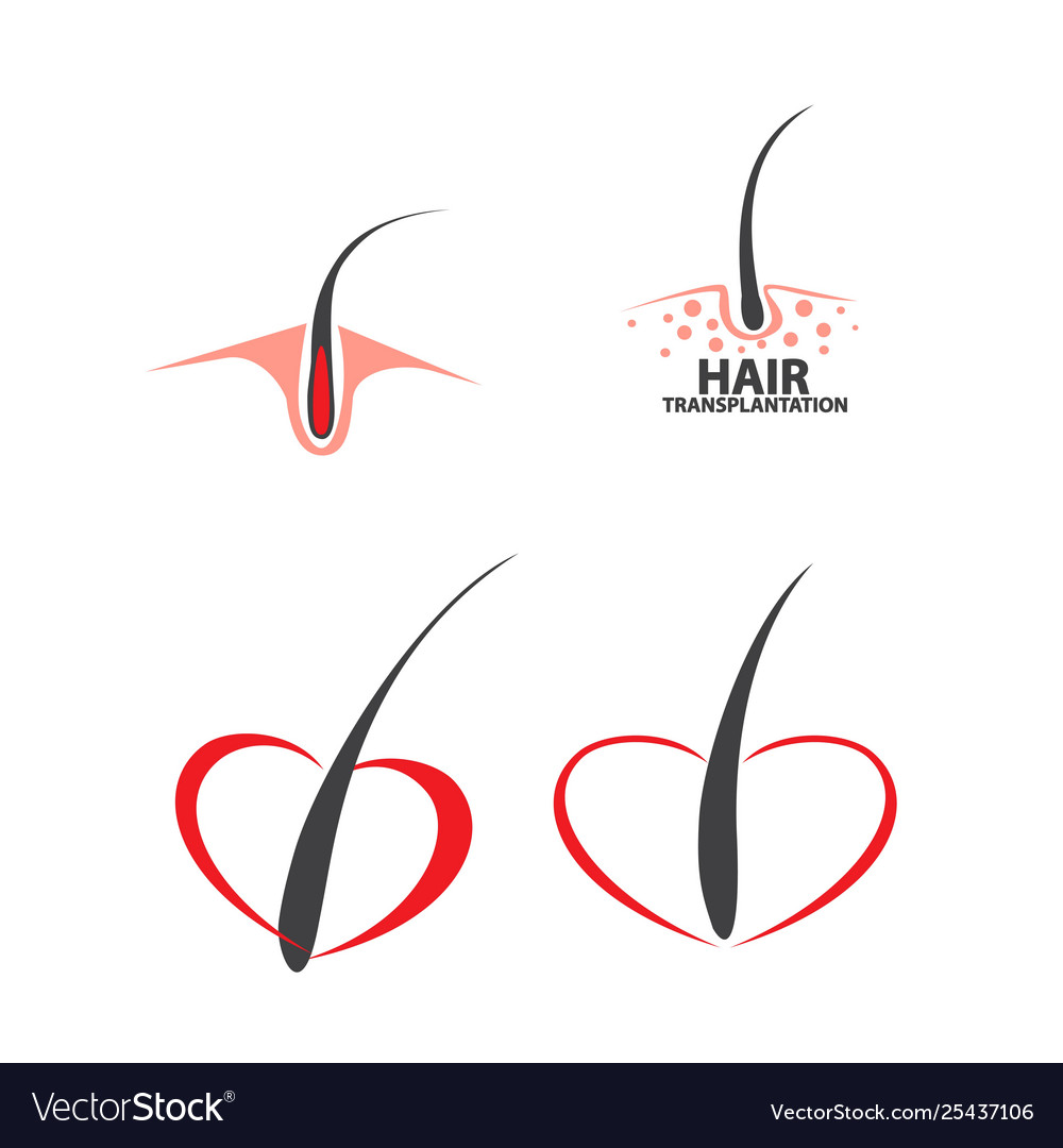 Hair Follicle Treatment Design Royalty Free Vector Image