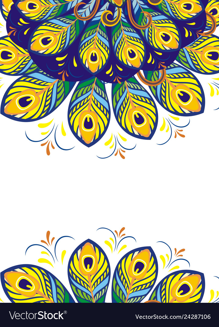 Peacock Feathers Royalty Free Vector Image - Vectorstock