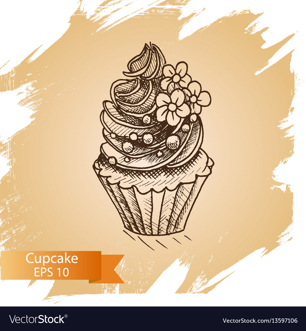 Sketch cupcake Royalty Free Vector Image - VectorStock
