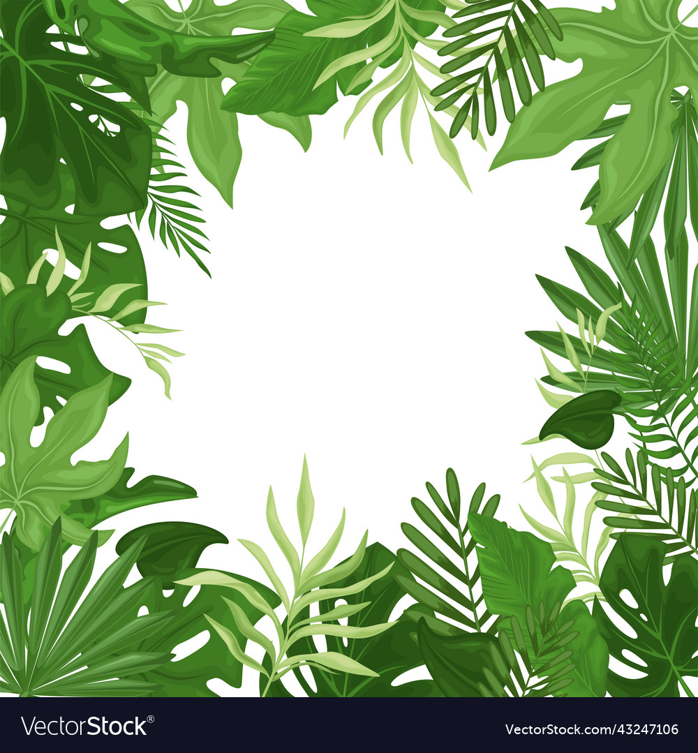 Tropical frame with palm leaves in a square Vector Image