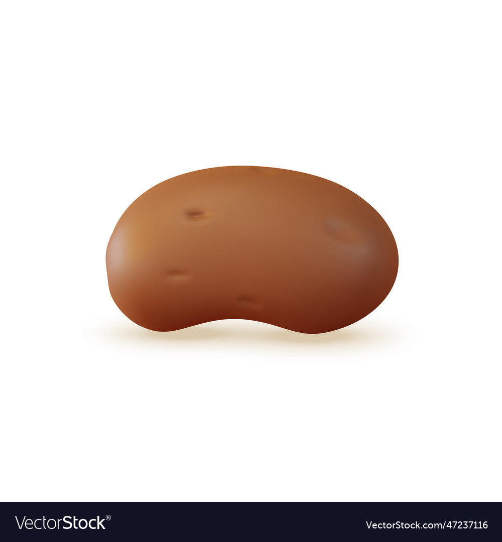 3d fresh vegetable whole potato concept cartoon Vector Image 3d fresh vegetable whole potato concept cartoon